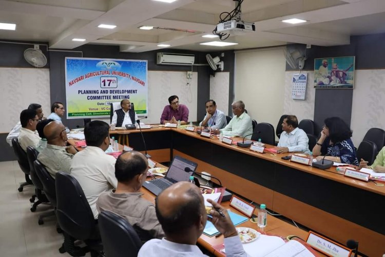 Hon’ble Vice-Chancellor Dr. Z. P. Patel chaired the 17th Planning and Development Committee Meeting organised by the Planning Cell, Directorate of Research, on October 18, 2023. 