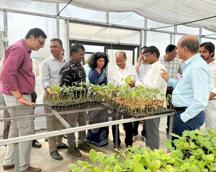 Hon’ble Vice Chancellor Dr. Z. P. Patel inaugurated the “Robotic Grafting Machine” for vegetable crops under RKVY project at Vegetable Research Farm, ASPEE College of Horticulture, Navsari 