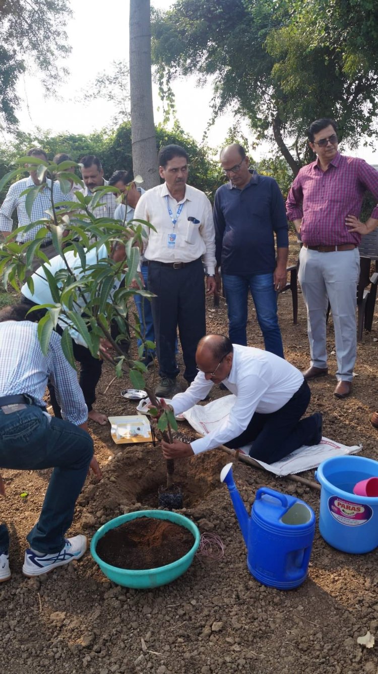 Mango plantation was done by Hon’ble Vice-Chancellor Dr. Z. P. Patel along with other dignitaries at Natural farming project location at main Campus of NAU on October 18, 2023. 