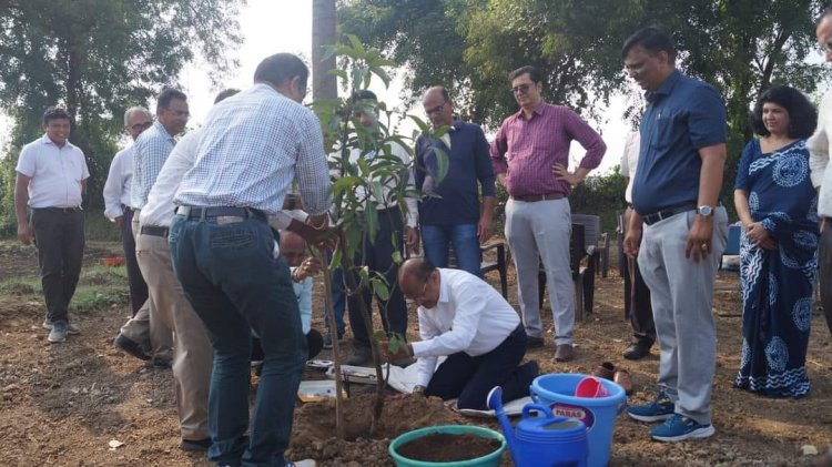 Mango plantation was done by Hon’ble Vice-Chancellor Dr. Z. P. Patel along with other dignitaries at Natural farming project location at main Campus of NAU on October 18, 2023. 