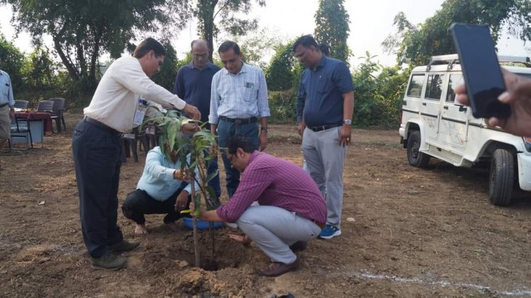 Mango plantation was done by Hon’ble Vice-Chancellor Dr. Z. P. Patel along with other dignitaries at Natural farming project location at main Campus of NAU on October 18, 2023. 