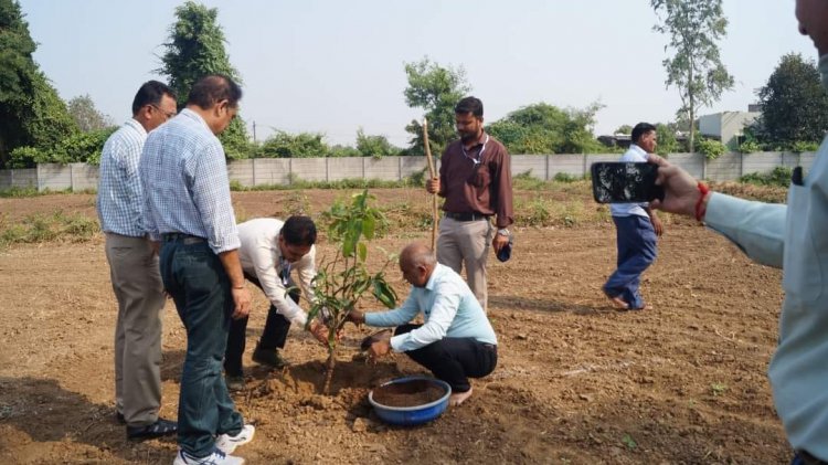 Mango plantation was done by Hon’ble Vice-Chancellor Dr. Z. P. Patel along with other dignitaries at Natural farming project location at main Campus of NAU on October 18, 2023. 