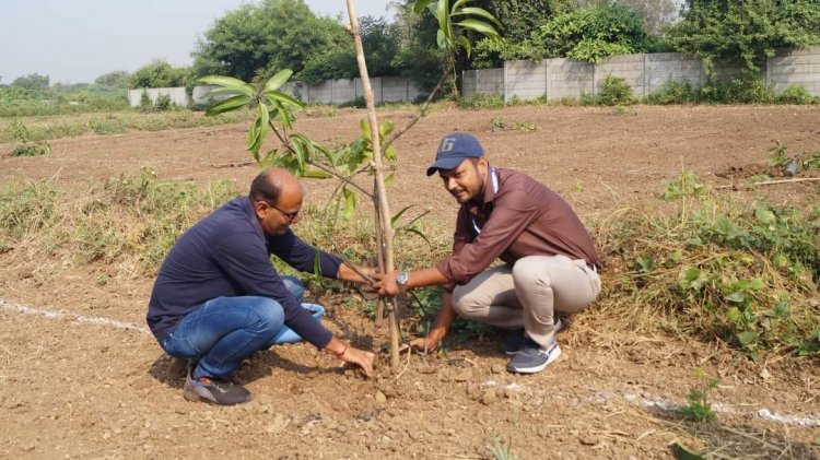 Mango plantation was done by Hon’ble Vice-Chancellor Dr. Z. P. Patel along with other dignitaries at Natural farming project location at main Campus of NAU on October 18, 2023. 