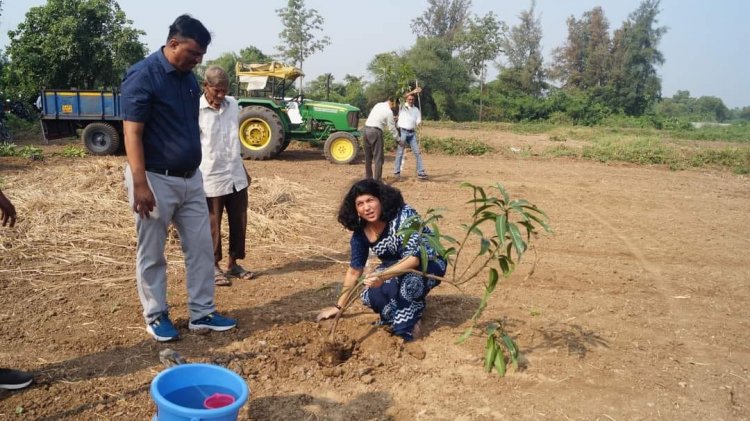 Mango plantation was done by Hon’ble Vice-Chancellor Dr. Z. P. Patel along with other dignitaries at Natural farming project location at main Campus of NAU on October 18, 2023. 