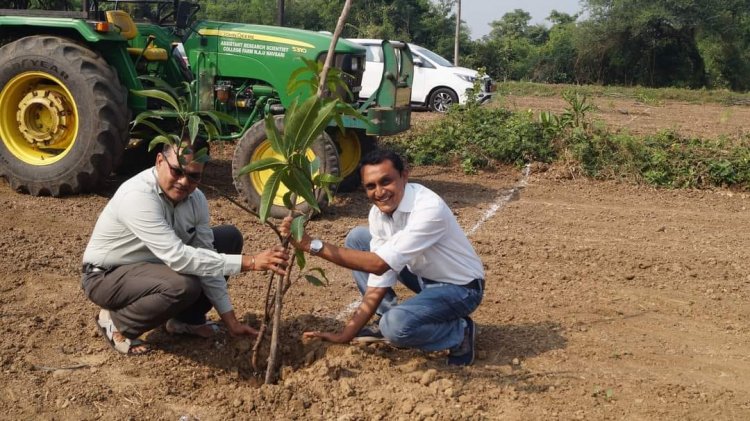 Mango plantation was done by Hon’ble Vice-Chancellor Dr. Z. P. Patel along with other dignitaries at Natural farming project location at main Campus of NAU on October 18, 2023. 