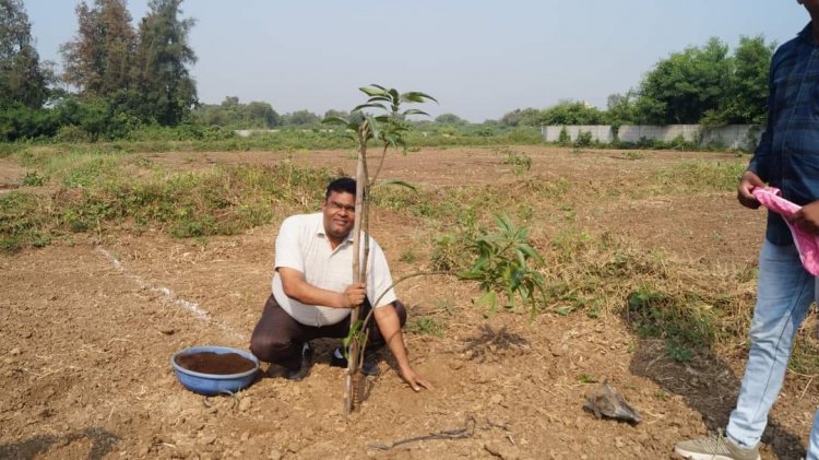 Mango plantation was done by Hon’ble Vice-Chancellor Dr. Z. P. Patel along with other dignitaries at Natural farming project location at main Campus of NAU on October 18, 2023. 