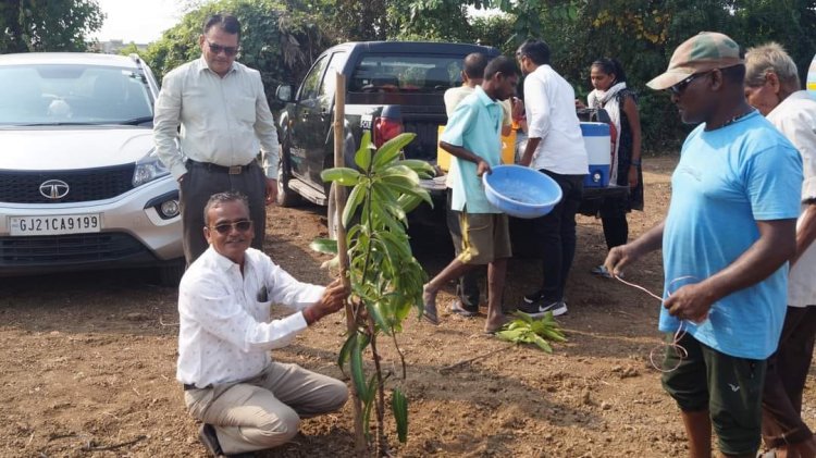 Mango plantation was done by Hon’ble Vice-Chancellor Dr. Z. P. Patel along with other dignitaries at Natural farming project location at main Campus of NAU on October 18, 2023. 