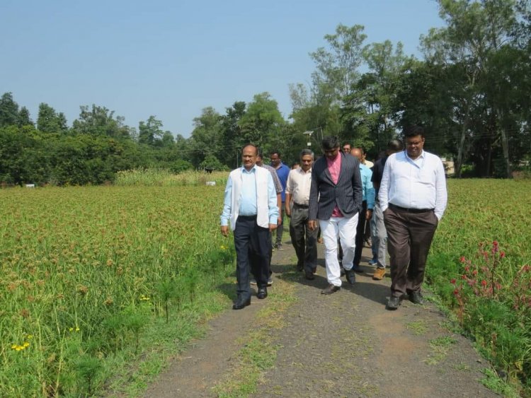 The 'Rubber Plantation Ceremony' held at Rambhas Farm, HMRS, Waghai on October 19, 2023, was graced by the esteemed presence of Hon’ble Vice-Chancellor Dr. Z. P. Patel. 