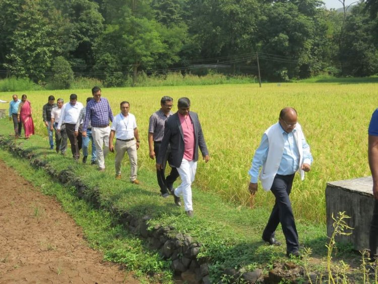 The 'Rubber Plantation Ceremony' held at Rambhas Farm, HMRS, Waghai on October 19, 2023, was graced by the esteemed presence of Hon’ble Vice-Chancellor Dr. Z. P. Patel. 