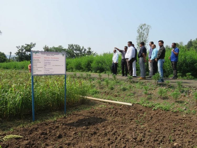 The 'Rubber Plantation Ceremony' held at Rambhas Farm, HMRS, Waghai on October 19, 2023, was graced by the esteemed presence of Hon’ble Vice-Chancellor Dr. Z. P. Patel. 