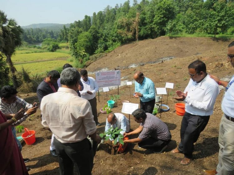 The 'Rubber Plantation Ceremony' held at Rambhas Farm, HMRS, Waghai on October 19, 2023, was graced by the esteemed presence of Hon’ble Vice-Chancellor Dr. Z. P. Patel. 