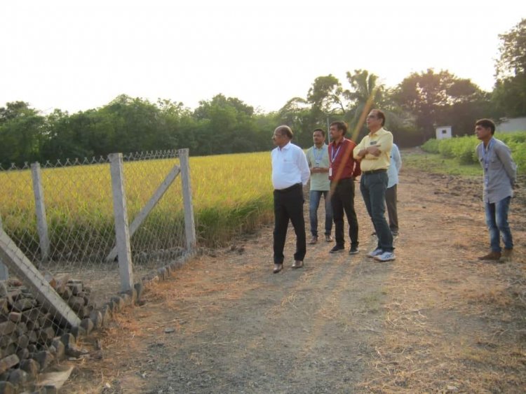 Hon’ble Vice-Chancellor Dr. Z. P. Patel along with Dr. V. R. Naik, ADR visited Cotton Wilt Research Station, Hansot on October 20, 2023.