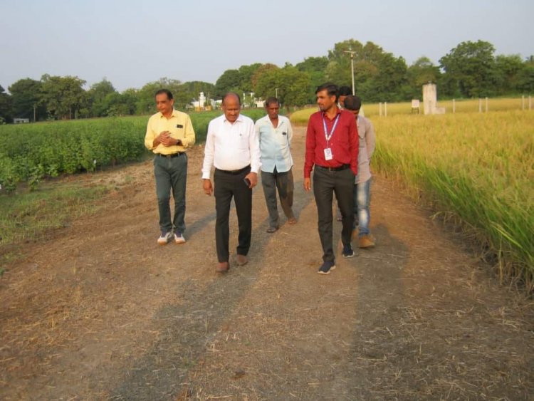 Hon’ble Vice-Chancellor Dr. Z. P. Patel along with Dr. V. R. Naik, ADR visited Cotton Wilt Research Station, Hansot on October 20, 2023.