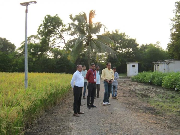 Hon’ble Vice-Chancellor Dr. Z. P. Patel along with Dr. V. R. Naik, ADR visited Cotton Wilt Research Station, Hansot on October 20, 2023.