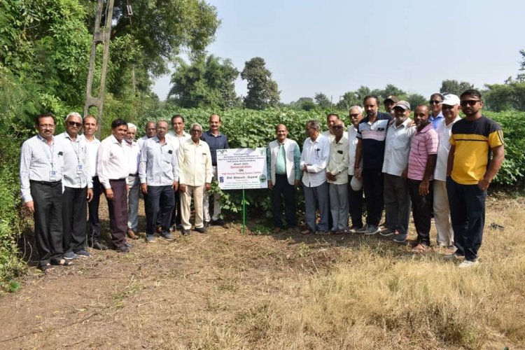 The 'CCI-ICAR-CICR Cotton BMPs Extension Pilot Project,' sponsored a 'Farmers Workshop' was organised under the chairmanship of Hon'ble Vice-Chancellor Dr. Z. P. Patel at Tuna Village, Valia Taluka, Bharuch