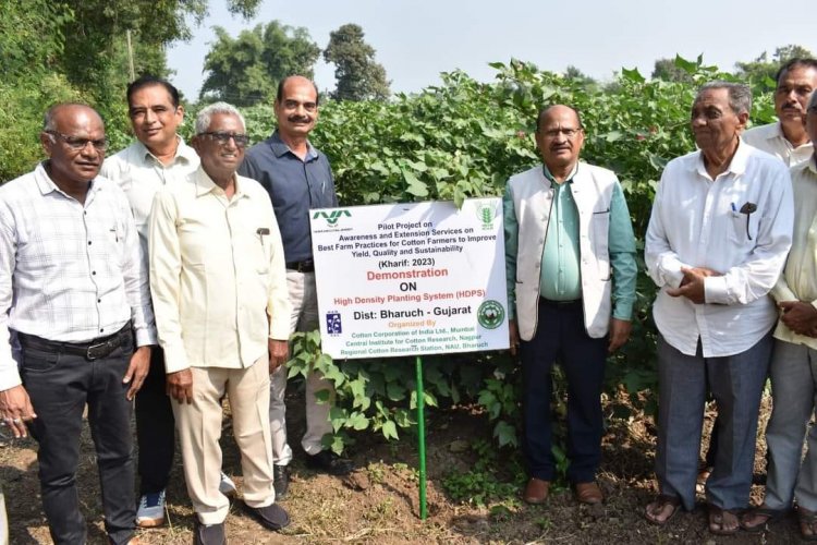 The 'CCI-ICAR-CICR Cotton BMPs Extension Pilot Project,' sponsored a 'Farmers Workshop' was organised under the chairmanship of Hon'ble Vice-Chancellor Dr. Z. P. Patel at Tuna Village, Valia Taluka, Bharuch