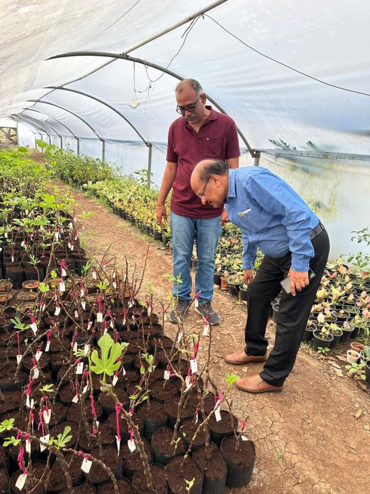 Hon’ble Vice-Chancellor Dr. Z. P. Patel along with Dr. Harshaben Patel paid a visit to the farm owned by Shri Jayeshbhai Patel, a revered progressive farmer and recipient of National and State-level awards, situated in Village Bharadia, Taluka-Valia, Dist- Bharuch 