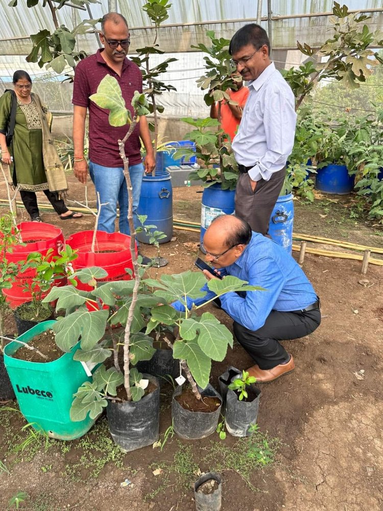 Hon’ble Vice-Chancellor Dr. Z. P. Patel along with Dr. Harshaben Patel paid a visit to the farm owned by Shri Jayeshbhai Patel, a revered progressive farmer and recipient of National and State-level awards, situated in Village Bharadia, Taluka-Valia, Dist- Bharuch 