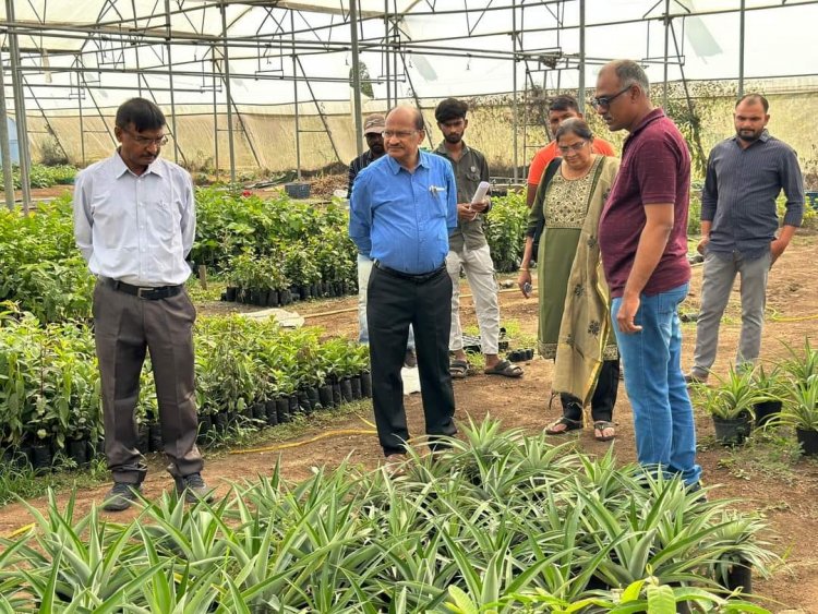 Hon’ble Vice-Chancellor Dr. Z. P. Patel along with Dr. Harshaben Patel paid a visit to the farm owned by Shri Jayeshbhai Patel, a revered progressive farmer and recipient of National and State-level awards, situated in Village Bharadia, Taluka-Valia, Dist- Bharuch 