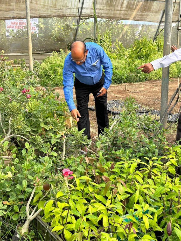 Hon’ble Vice-Chancellor Dr. Z. P. Patel along with Dr. Harshaben Patel paid a visit to the farm owned by Shri Jayeshbhai Patel, a revered progressive farmer and recipient of National and State-level awards, situated in Village Bharadia, Taluka-Valia, Dist- Bharuch 