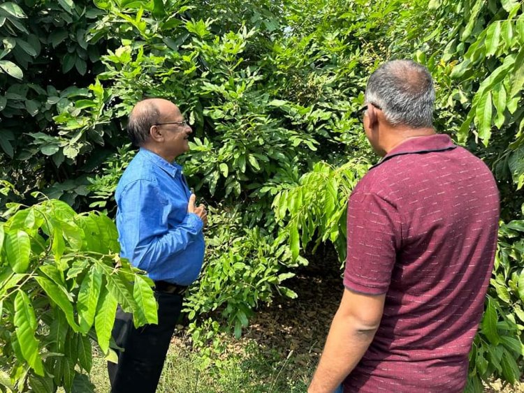 Hon’ble Vice-Chancellor Dr. Z. P. Patel along with Dr. Harshaben Patel paid a visit to the farm owned by Shri Jayeshbhai Patel, a revered progressive farmer and recipient of National and State-level awards, situated in Village Bharadia, Taluka-Valia, Dist- Bharuch 