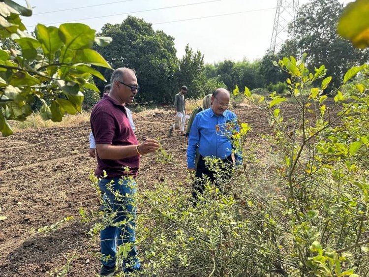 Hon’ble Vice-Chancellor Dr. Z. P. Patel along with Dr. Harshaben Patel paid a visit to the farm owned by Shri Jayeshbhai Patel, a revered progressive farmer and recipient of National and State-level awards, situated in Village Bharadia, Taluka-Valia, Dist- Bharuch 