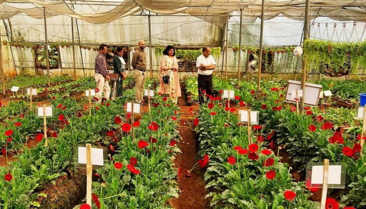 Hon’ble Vice-Chancellor Dr. Z. P. Patel visited Greenhouse complex of ASPEE College of Horticulture, Navsari.