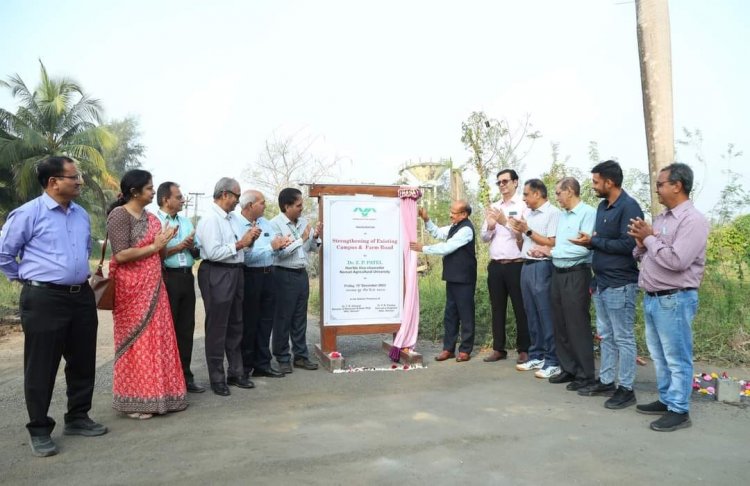 On December 15, 2023, Hon’ble Vice-Chancellor Dr. Z. P. Patel, marked a significant milestone by inaugurating the ambitious 'Strengthening of Existing Campus & Farm Road' project