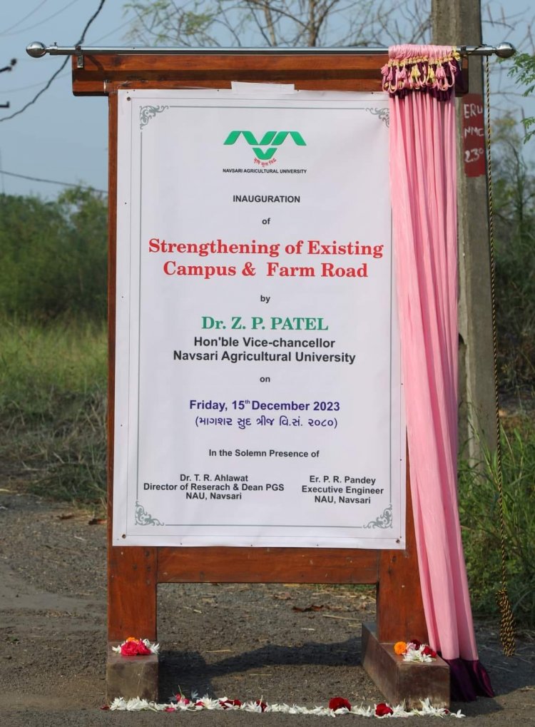 On December 15, 2023, Hon’ble Vice-Chancellor Dr. Z. P. Patel, marked a significant milestone by inaugurating the ambitious 'Strengthening of Existing Campus & Farm Road' project