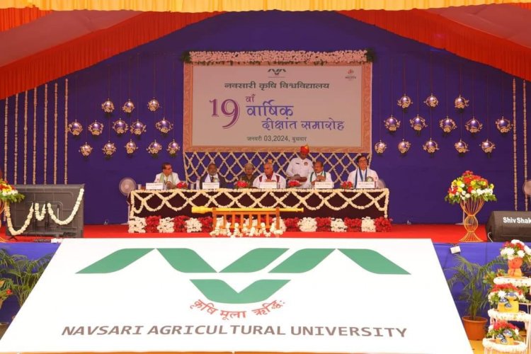 The 19th Annual Convocation of Navsari Agricultural University was held today (January 3, 2024), in the esteemed presence of the Hon’ble Governor of Gujarat and Chancellor of the University, Shri Acharya Devvrat ji, who presided over the function as President. 