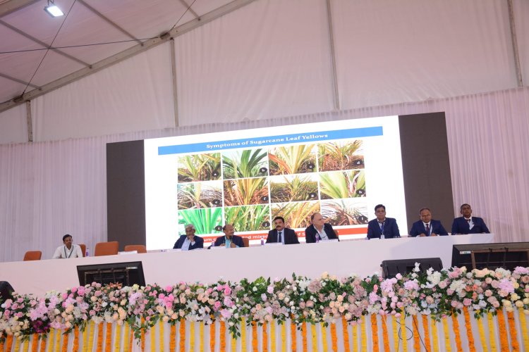 Hon'ble Vice-Chancellor Dr. Z. P. Patel chaired a Technical Session on "Pests in Sugarcane: Facts & Management Approach" at the 3rd International Conference and Exhibition on “Sustainability: Challenges & Opportunities in Global Sugar Industries” organized by the Vasantdada Sugar Institute (VSI), Pune during January 12-14, 2024.