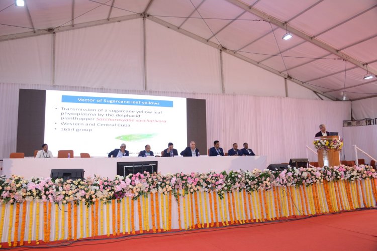 Hon'ble Vice-Chancellor Dr. Z. P. Patel chaired a Technical Session on "Pests in Sugarcane: Facts & Management Approach" at the 3rd International Conference and Exhibition on “Sustainability: Challenges & Opportunities in Global Sugar Industries” organized by the Vasantdada Sugar Institute (VSI), Pune during January 12-14, 2024.