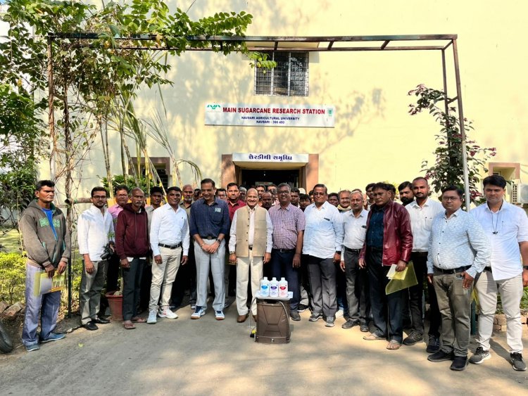 In a significant development for sugarcane cultivation, the “ICAR-AICRP (Sugarcane) Farmers Training Programme on Improved Sugarcane Production Technology under the Tribal Sub Plan” was organized at the Main Sugarcane Research Station, Navsari on January 17, 2024.