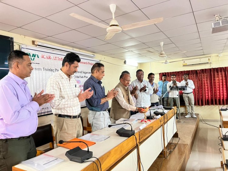 In a significant development for sugarcane cultivation, the “ICAR-AICRP (Sugarcane) Farmers Training Programme on Improved Sugarcane Production Technology under the Tribal Sub Plan” was organized at the Main Sugarcane Research Station, Navsari on January 17, 2024.