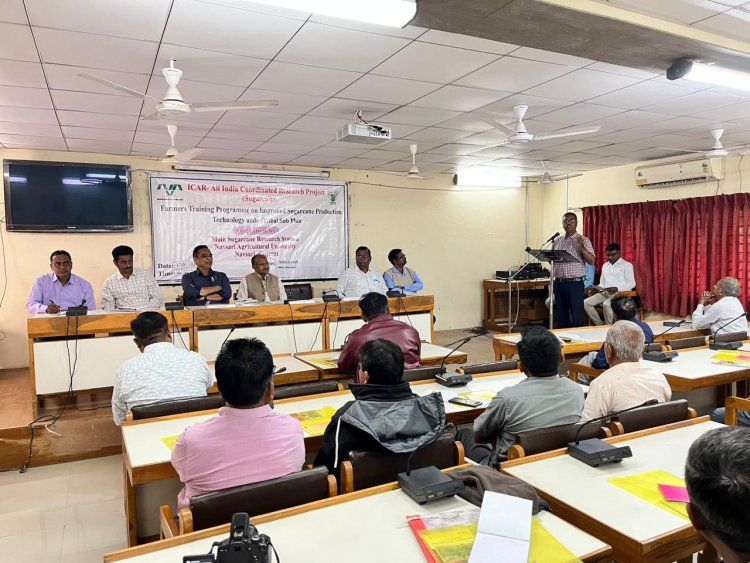 In a significant development for sugarcane cultivation, the “ICAR-AICRP (Sugarcane) Farmers Training Programme on Improved Sugarcane Production Technology under the Tribal Sub Plan” was organized at the Main Sugarcane Research Station, Navsari on January 17, 2024.