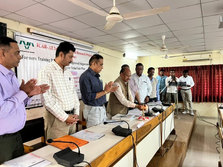 In a significant development for sugarcane cultivation, the “ICAR-AICRP (Sugarcane) Farmers Training Programme on Improved Sugarcane Production Technology under the Tribal Sub Plan” was organized at the Main Sugarcane Research Station, Navsari on January 17, 2024.