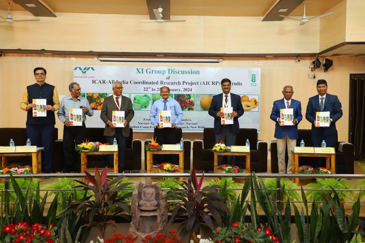 The XI Group Discussion of ICAR-All India Coordinated Research Project on Fruits was organized at NAU, Navsari during January 22-25, 2024.