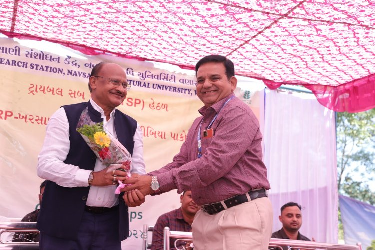  A ‘Khedut Din' was organized by Niger Research Station, Vanarasi on under the AICRP-Tribal Sub Plan (TSP) on February 05, 2024 in the esteemed presence of Hon'ble Vice-Chancellor Dr. Z. P. Patel along with Dr. V. R. Naik, ADR and the scientists of the centre.