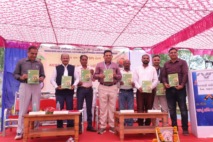  A ‘Khedut Din' was organized by Niger Research Station, Vanarasi on under the AICRP-Tribal Sub Plan (TSP) on February 05, 2024 in the esteemed presence of Hon'ble Vice-Chancellor Dr. Z. P. Patel along with Dr. V. R. Naik, ADR and the scientists of the centre.