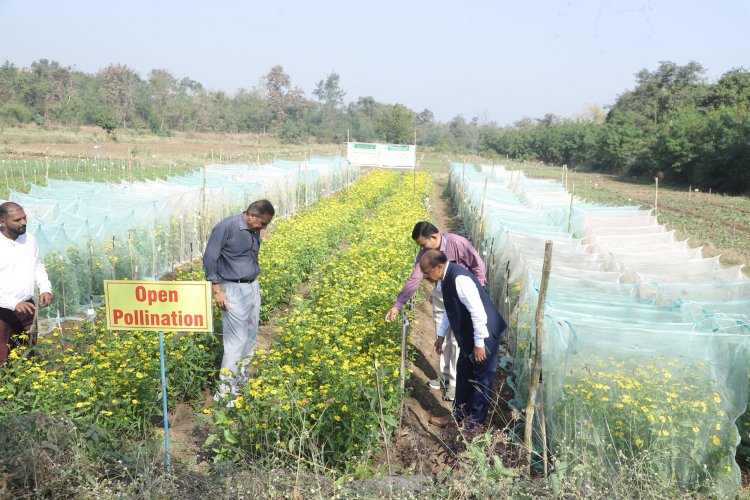  A ‘Khedut Din' was organized by Niger Research Station, Vanarasi on under the AICRP-Tribal Sub Plan (TSP) on February 05, 2024 in the esteemed presence of Hon'ble Vice-Chancellor Dr. Z. P. Patel along with Dr. V. R. Naik, ADR and the scientists of the centre.