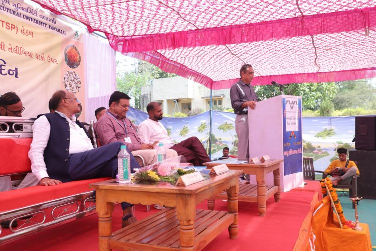  A ‘Khedut Din' was organized by Niger Research Station, Vanarasi on under the AICRP-Tribal Sub Plan (TSP) on February 05, 2024 in the esteemed presence of Hon'ble Vice-Chancellor Dr. Z. P. Patel along with Dr. V. R. Naik, ADR and the scientists of the centre.