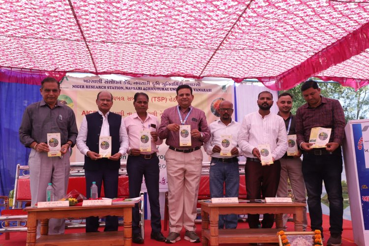  A ‘Khedut Din' was organized by Niger Research Station, Vanarasi on under the AICRP-Tribal Sub Plan (TSP) on February 05, 2024 in the esteemed presence of Hon'ble Vice-Chancellor Dr. Z. P. Patel along with Dr. V. R. Naik, ADR and the scientists of the centre.