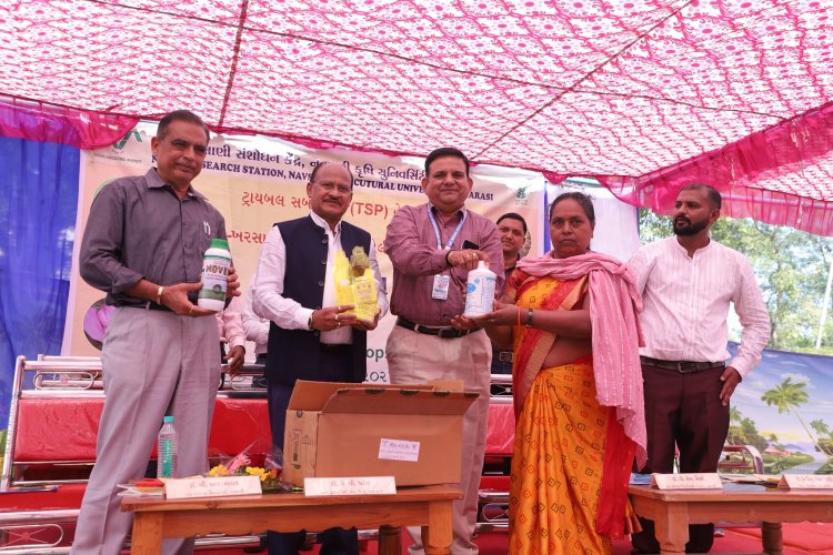  A ‘Khedut Din' was organized by Niger Research Station, Vanarasi on under the AICRP-Tribal Sub Plan (TSP) on February 05, 2024 in the esteemed presence of Hon'ble Vice-Chancellor Dr. Z. P. Patel along with Dr. V. R. Naik, ADR and the scientists of the centre.