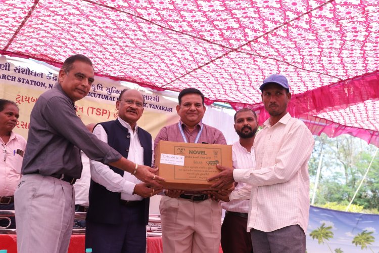  A ‘Khedut Din' was organized by Niger Research Station, Vanarasi on under the AICRP-Tribal Sub Plan (TSP) on February 05, 2024 in the esteemed presence of Hon'ble Vice-Chancellor Dr. Z. P. Patel along with Dr. V. R. Naik, ADR and the scientists of the centre.