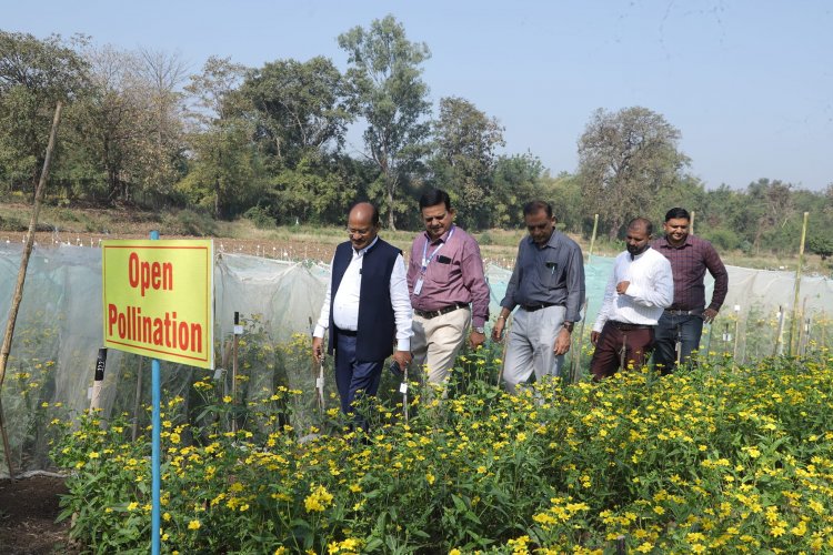  A ‘Khedut Din' was organized by Niger Research Station, Vanarasi on under the AICRP-Tribal Sub Plan (TSP) on February 05, 2024 in the esteemed presence of Hon'ble Vice-Chancellor Dr. Z. P. Patel along with Dr. V. R. Naik, ADR and the scientists of the centre.