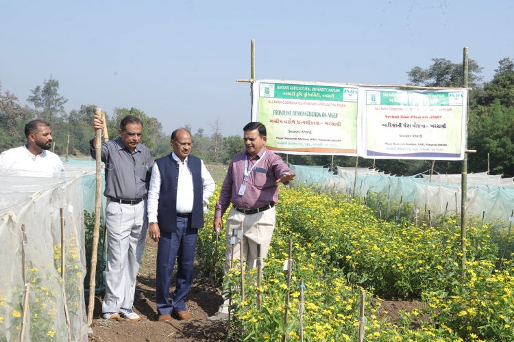  A ‘Khedut Din' was organized by Niger Research Station, Vanarasi on under the AICRP-Tribal Sub Plan (TSP) on February 05, 2024 in the esteemed presence of Hon'ble Vice-Chancellor Dr. Z. P. Patel along with Dr. V. R. Naik, ADR and the scientists of the centre.