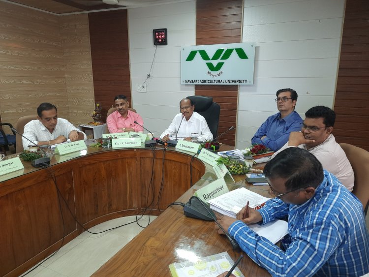 Hon'ble Vice Chancellor Dr. Z. P. Patel chaired the 20th AGRESCO meeting of the Agricultural Engineering sub-committee of NAU Navsari on February 21, 2024.