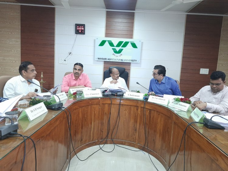 Hon'ble Vice Chancellor Dr. Z. P. Patel chaired the 20th AGRESCO meeting of the Agricultural Engineering sub-committee of NAU Navsari on February 21, 2024.