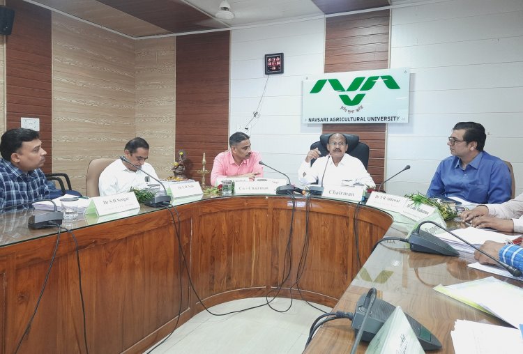 Hon'ble Vice Chancellor Dr. Z. P. Patel chaired the 20th AGRESCO meeting of the Agricultural Engineering sub-committee of NAU Navsari on February 21, 2024.