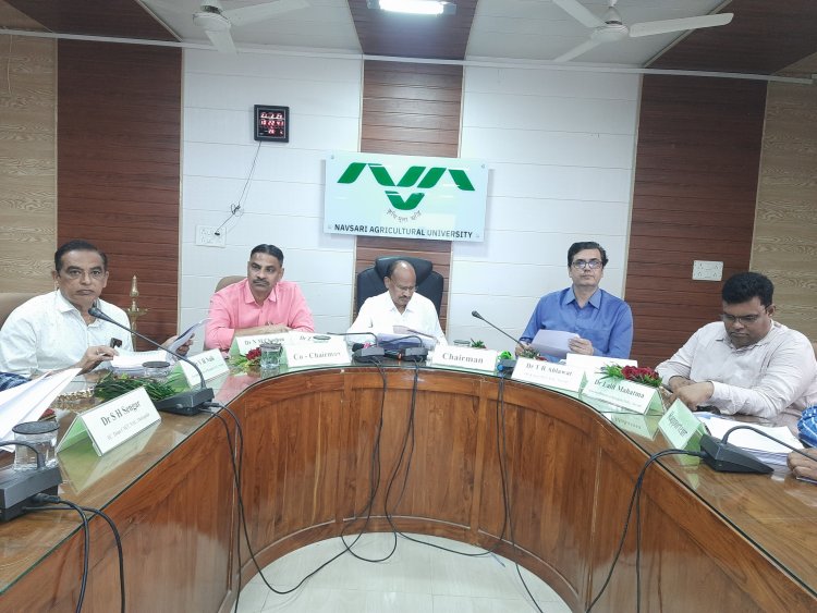 Hon'ble Vice Chancellor Dr. Z. P. Patel chaired the 20th AGRESCO meeting of the Agricultural Engineering sub-committee of NAU Navsari on February 21, 2024.